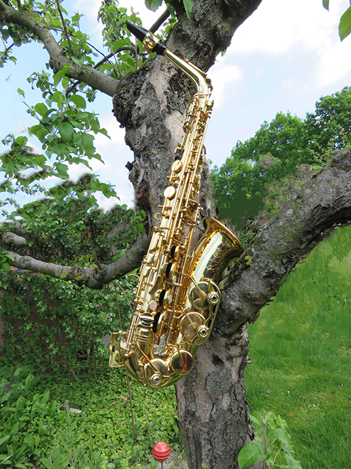 saxophon baum